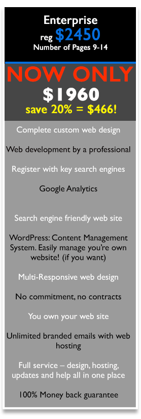 Enterprise Web Design Package